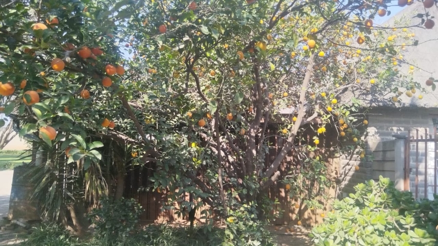 14 Bedroom Property for Sale in Quaggafontein Free State